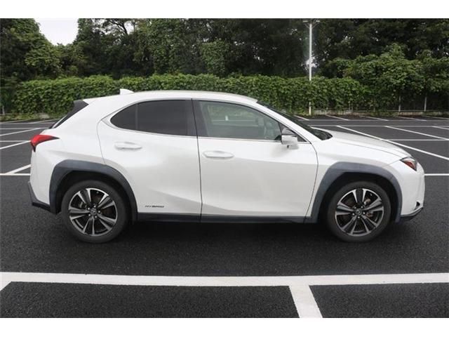 LEXUS UX250h