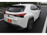 LEXUS UX250h