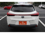 LEXUS UX250h