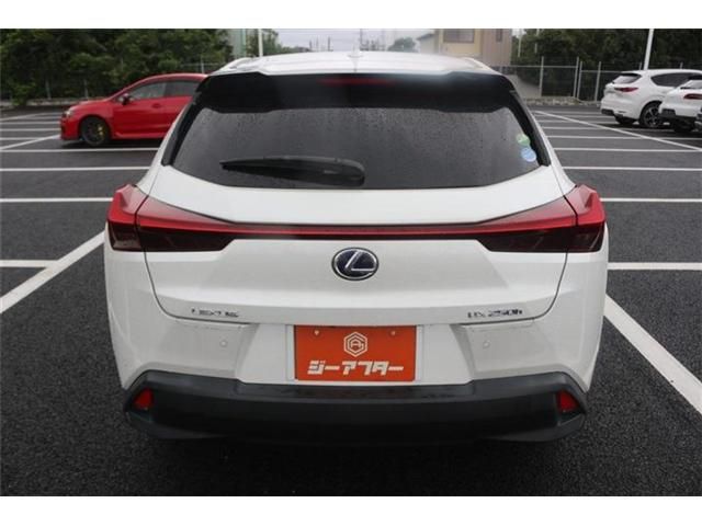 LEXUS UX250h
