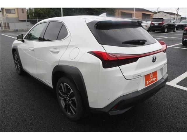 LEXUS UX250h