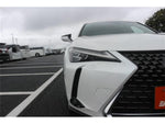 LEXUS UX250h