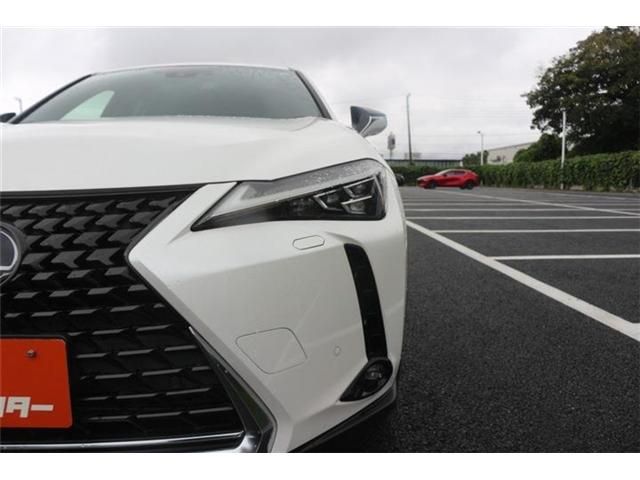 LEXUS UX250h