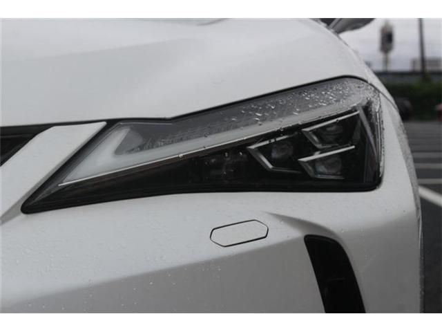 LEXUS UX250h