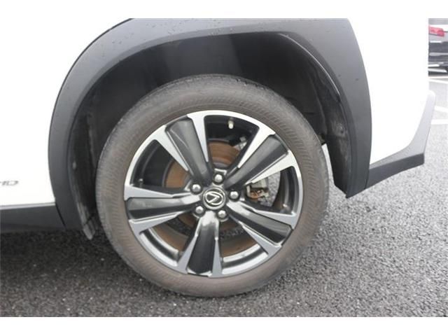 LEXUS UX250h