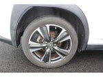 LEXUS UX250h