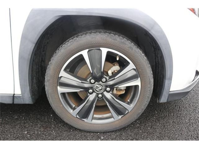 LEXUS UX250h