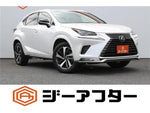 LEXUS NX300