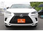 LEXUS NX300