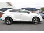 LEXUS NX300