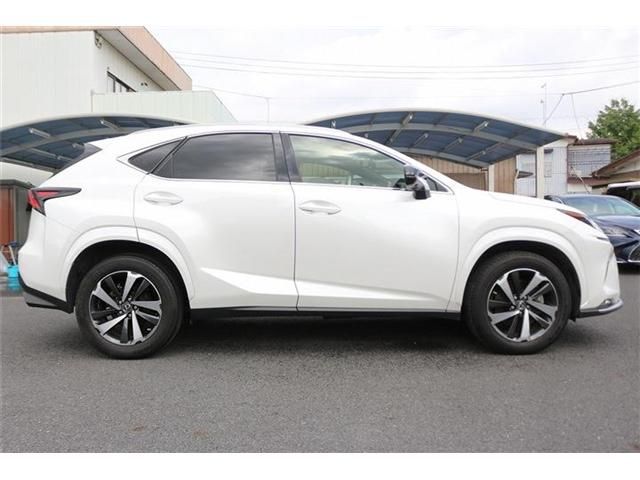 LEXUS NX300