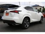 LEXUS NX300