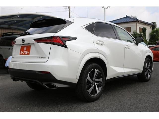 LEXUS NX300