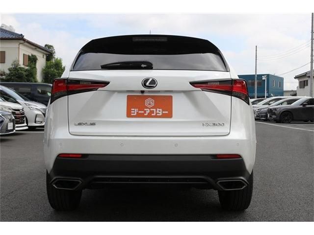 LEXUS NX300
