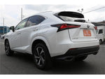 LEXUS NX300