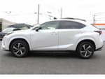 LEXUS NX300