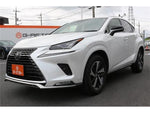 LEXUS NX300