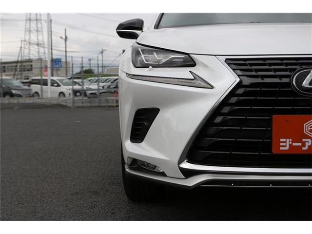 LEXUS NX300