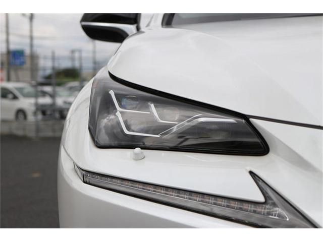 LEXUS NX300