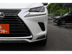 LEXUS NX300