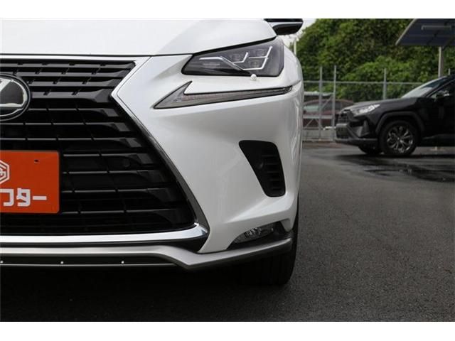 LEXUS NX300