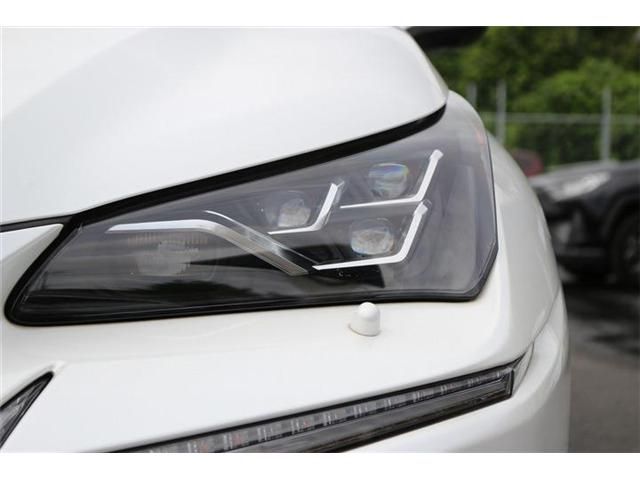 LEXUS NX300