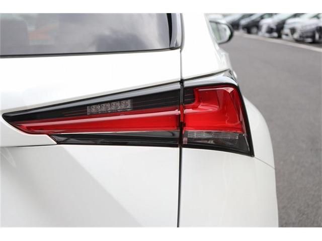 LEXUS NX300
