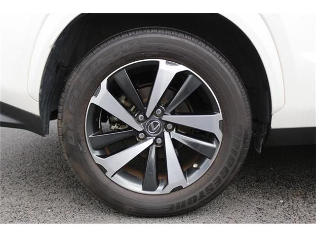 LEXUS NX300