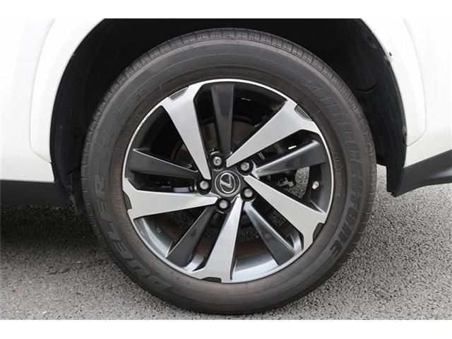 LEXUS NX300