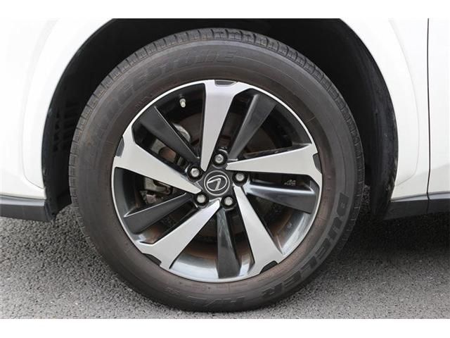 LEXUS NX300