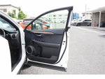 LEXUS NX300