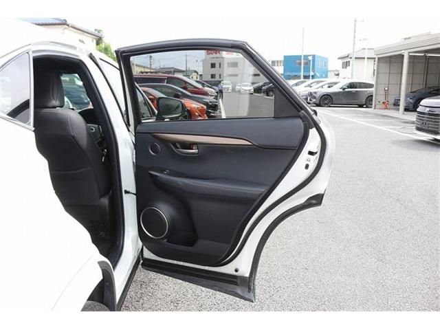 LEXUS NX300
