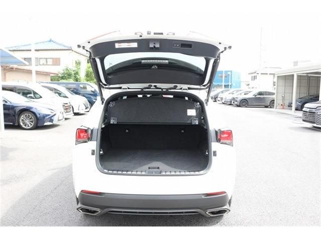 LEXUS NX300