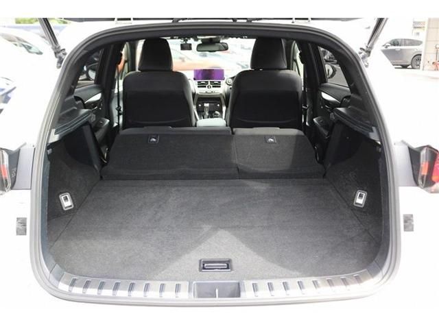 LEXUS NX300