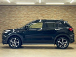 RAIZE HYBRID