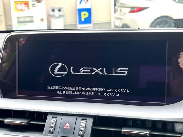 LEXUS ES300h