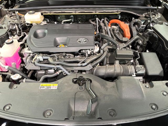 CROWN SPORT