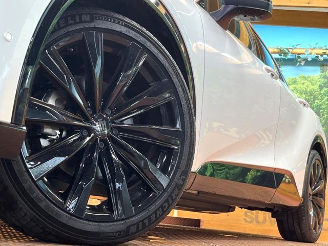 CROWN SPORT