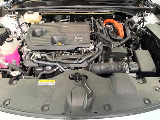 CROWN SPORT