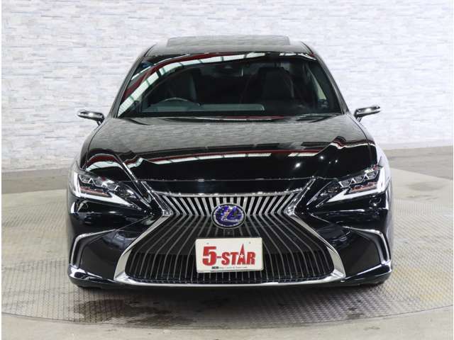 LEXUS ES300h