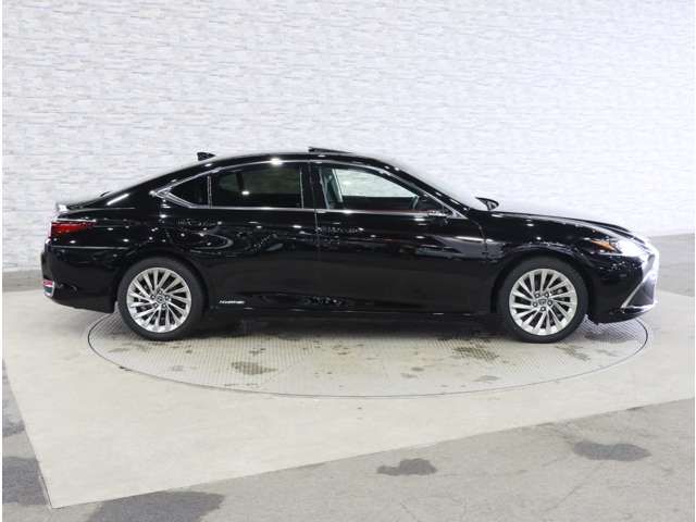 LEXUS ES300h