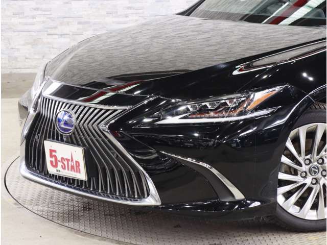 LEXUS ES300h