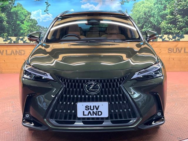 LEXUS NX350h