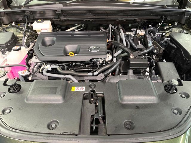 LEXUS NX350h