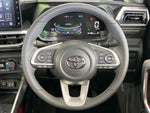 RAIZE HYBRID