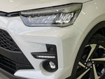 RAIZE HYBRID