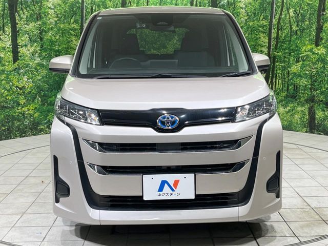 NOAH HYBRID