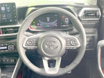 RAIZE HYBRID