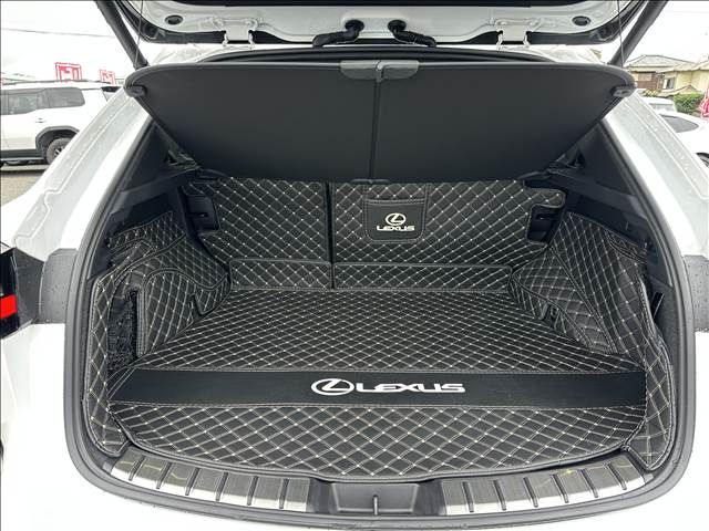 LEXUS NX350h
