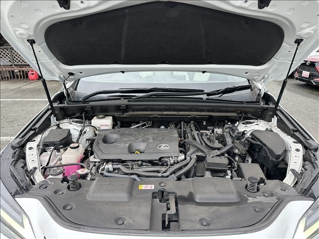 LEXUS NX350h